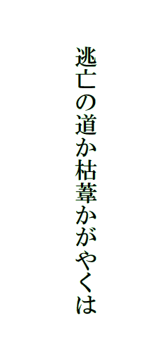 逃亡の道か枯葦かがやくは