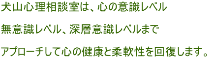 犬山心理相談室は、心の意識レベル  無意識レベル、深層意識レベルまで  アプローチして心の健康と柔軟性を回復します。 