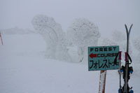 �ʐ^05_�R�[�X�Ŕ͖��ł�����