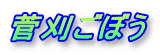 �������ڂ�