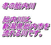 冬の胎内川  胎内川は、 新潟県胎内市を 流れる川です。 