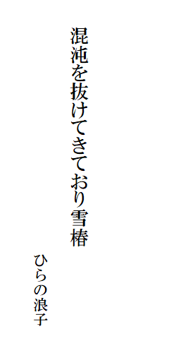

　
　
　
　　混沌を抜けてきており雪椿

　　　　　　　　　　　　　　　　　ひらの浪子
　　　　　　　　　　　　　　　　　　　　　　　　　　　