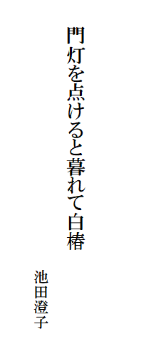 

　　
　
　　門灯を点けると暮れて白椿
　
　　　　　　　　　　　　　　　　　　池田澄子　
　　　　　　　　　　　　　　　　　　　　　　　　　　　