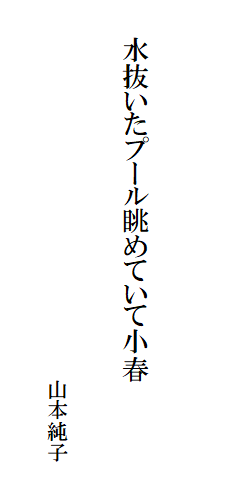 水抜いたプール眺めていて小春
山本純子