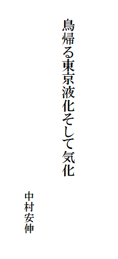 鳥帰る東京液化そして気化
中村安伸